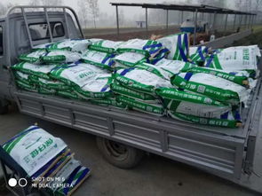 非瘟?xí)r代，裝卸品質(zhì) 守護(hù)養(yǎng)殖安全的堅(jiān)實(shí)防線(xiàn)